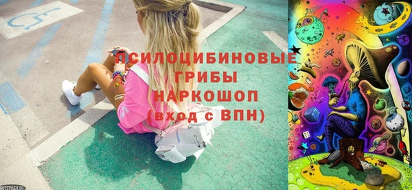 ГАЛЛЮЦИНОГЕННЫЕ ГРИБЫ Армянск