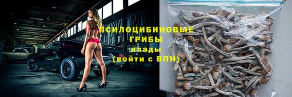 ГАЛЛЮЦИНОГЕННЫЕ ГРИБЫ Армянск