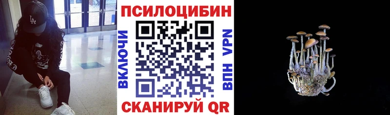 Псилоцибиновые грибы Psilocybine cubensis  Злынка 